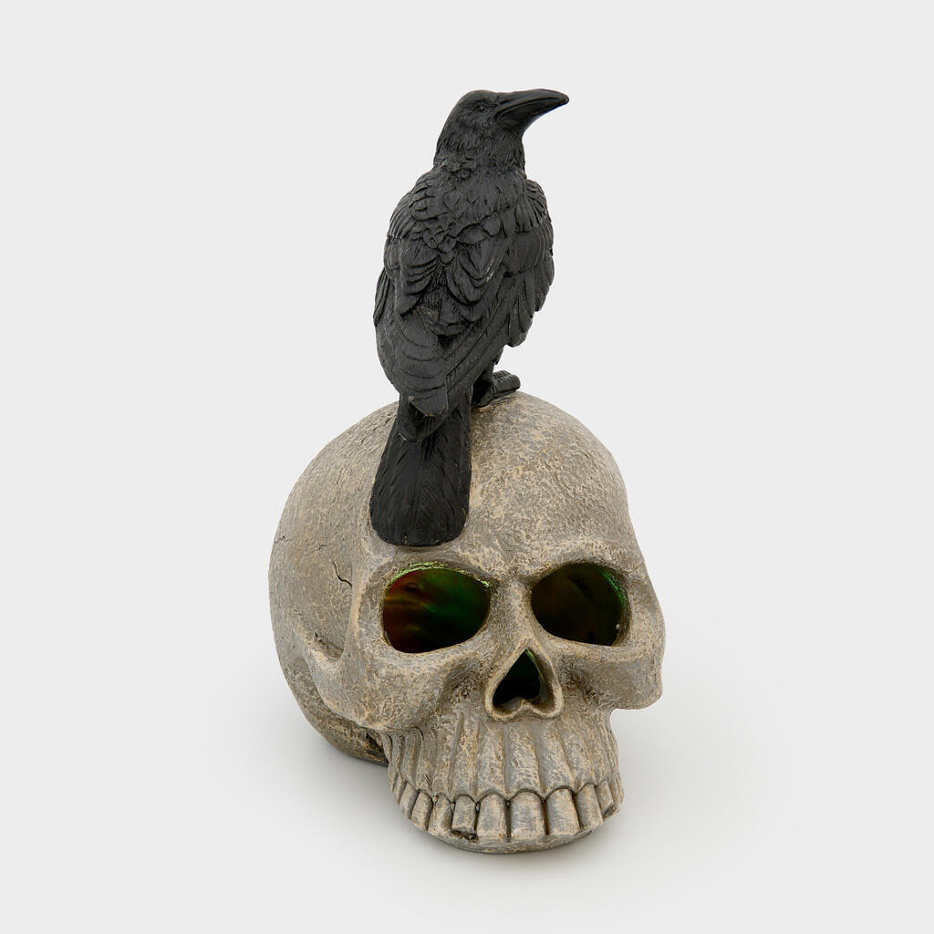 ESCULTURA CRANIO COM CORVO