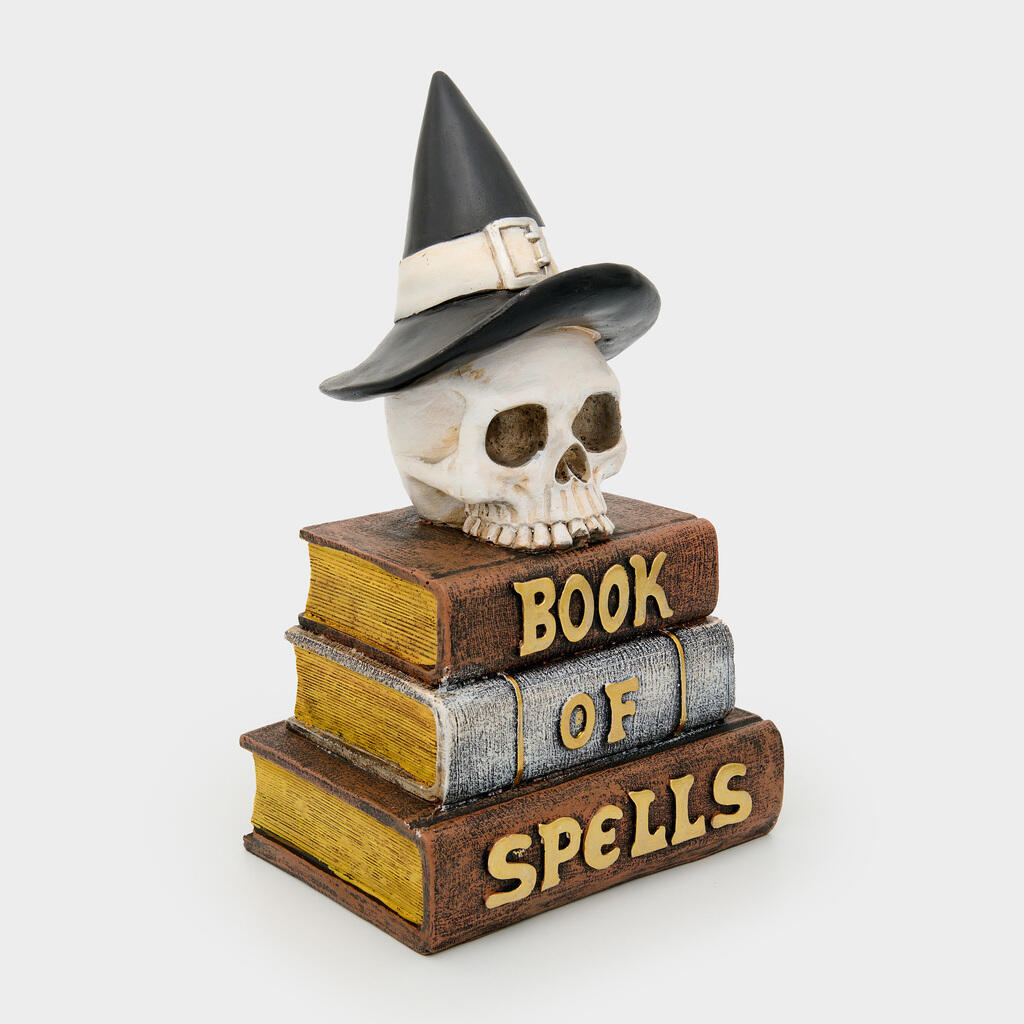 ESCULTURA CRANIO COM LIVROS