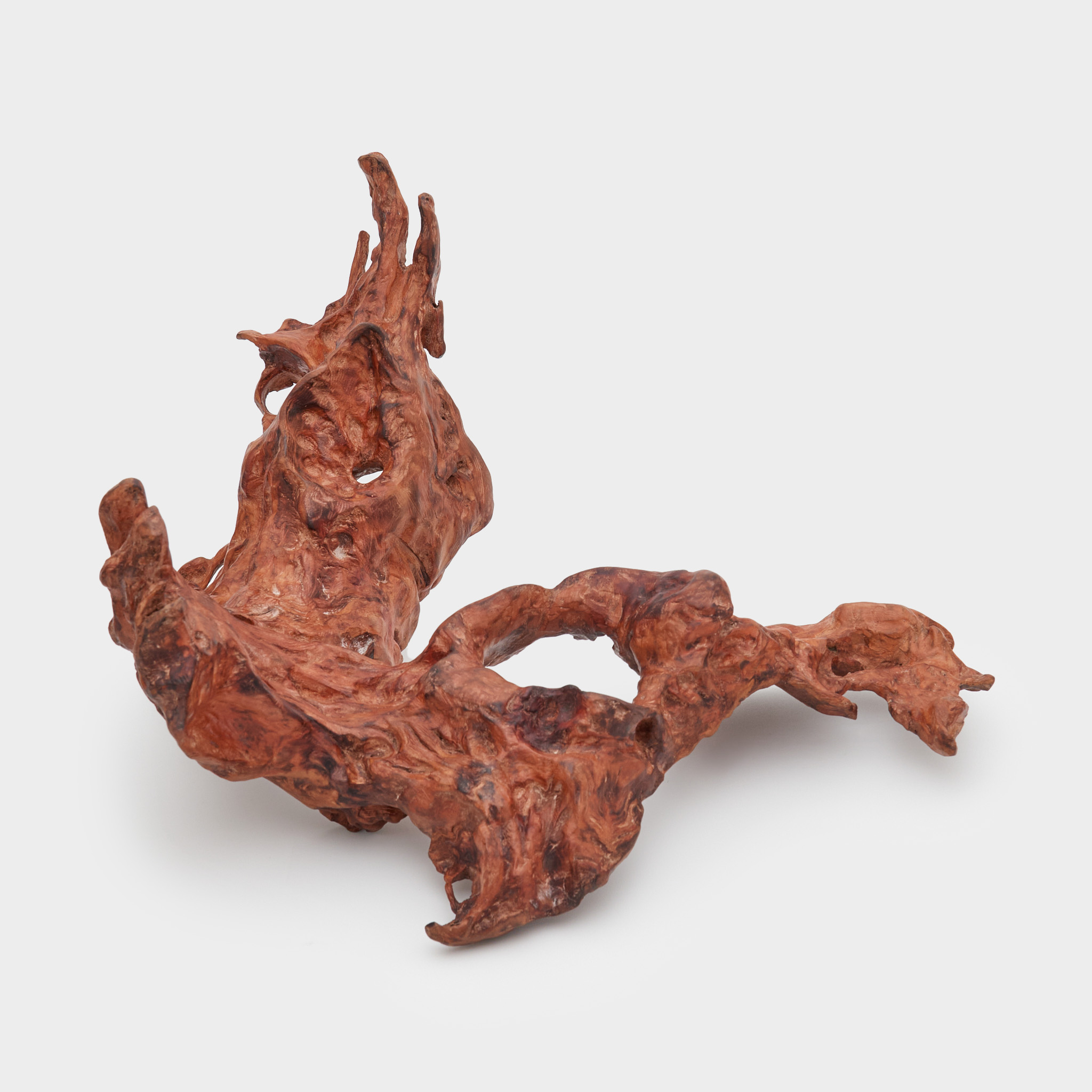 TRONCO RAIZ MADEIRA FUROS