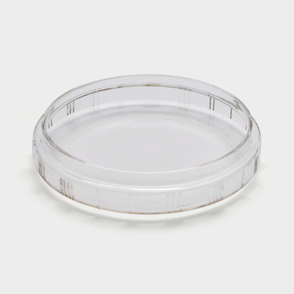 CENTRO DE MESA VIDRO TAMPA