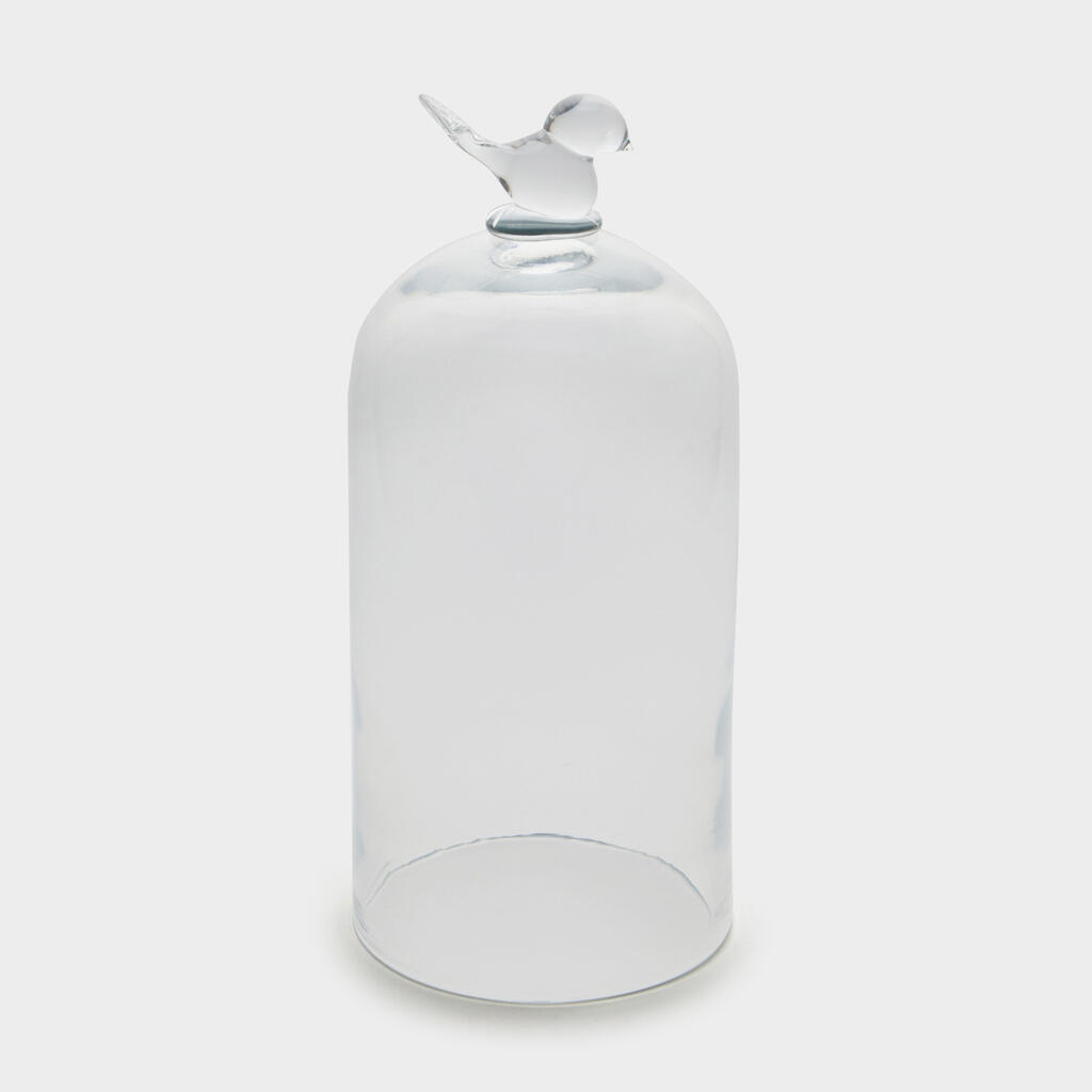 CUPULA VIDRO PASSARO - G