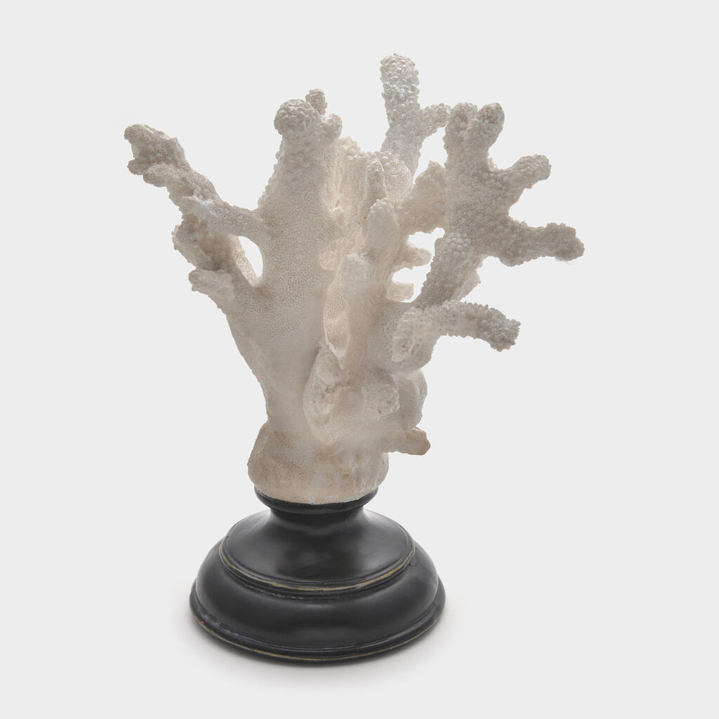 ESCULTURA CORAL BRANCO GALHOS ABERTO