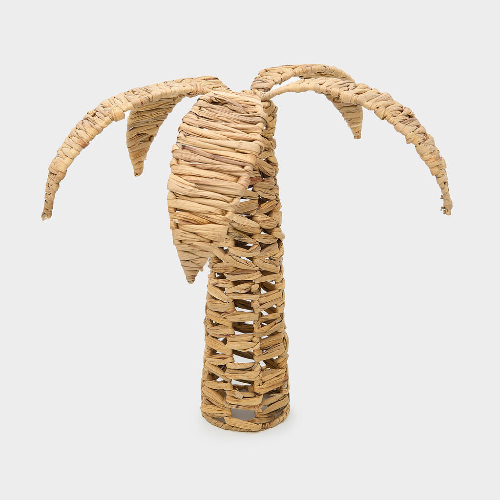 ESCULTURA PALMEIRA TÁBOA