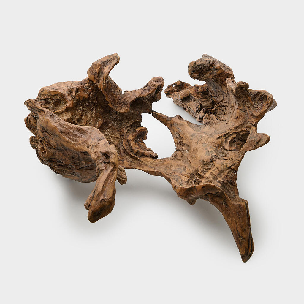 TRONCO MADEIRA ESCURO RAIZ CAVERNA