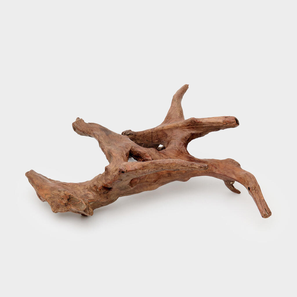 TRONCO RAIZ MADEIRA ESCURO BURACO PERNAS