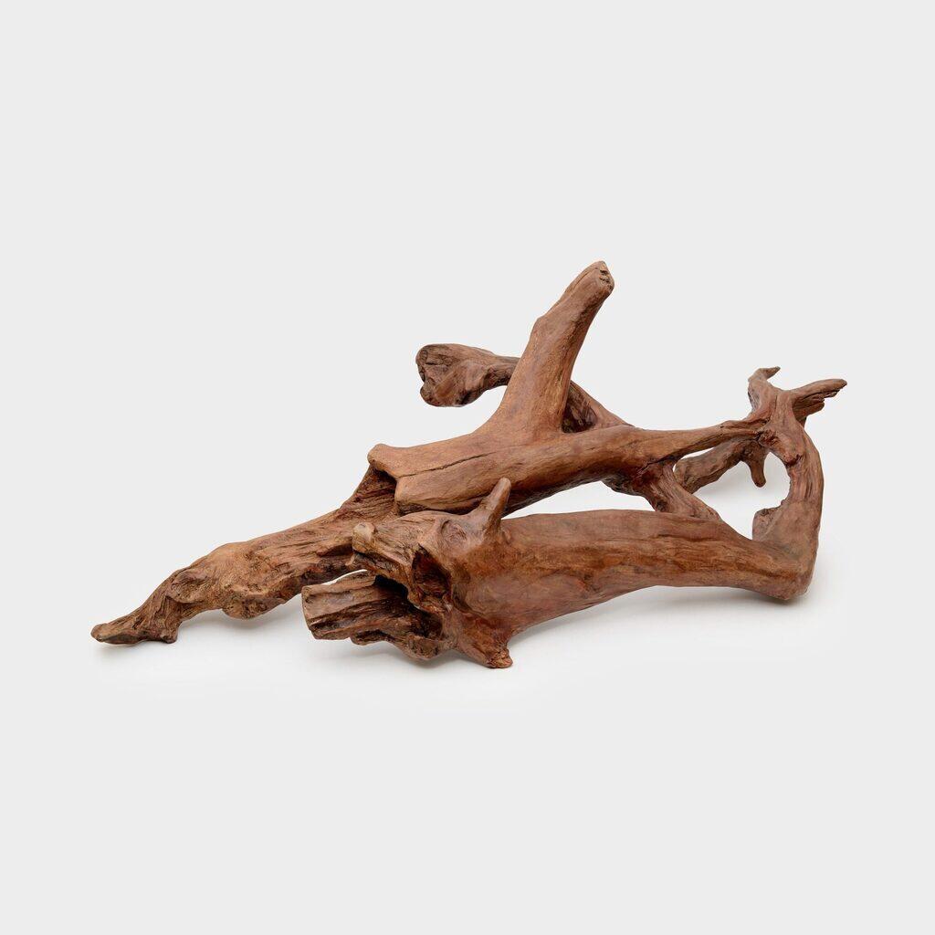 TRONCO RAIZ MADEIRA EXTRA G