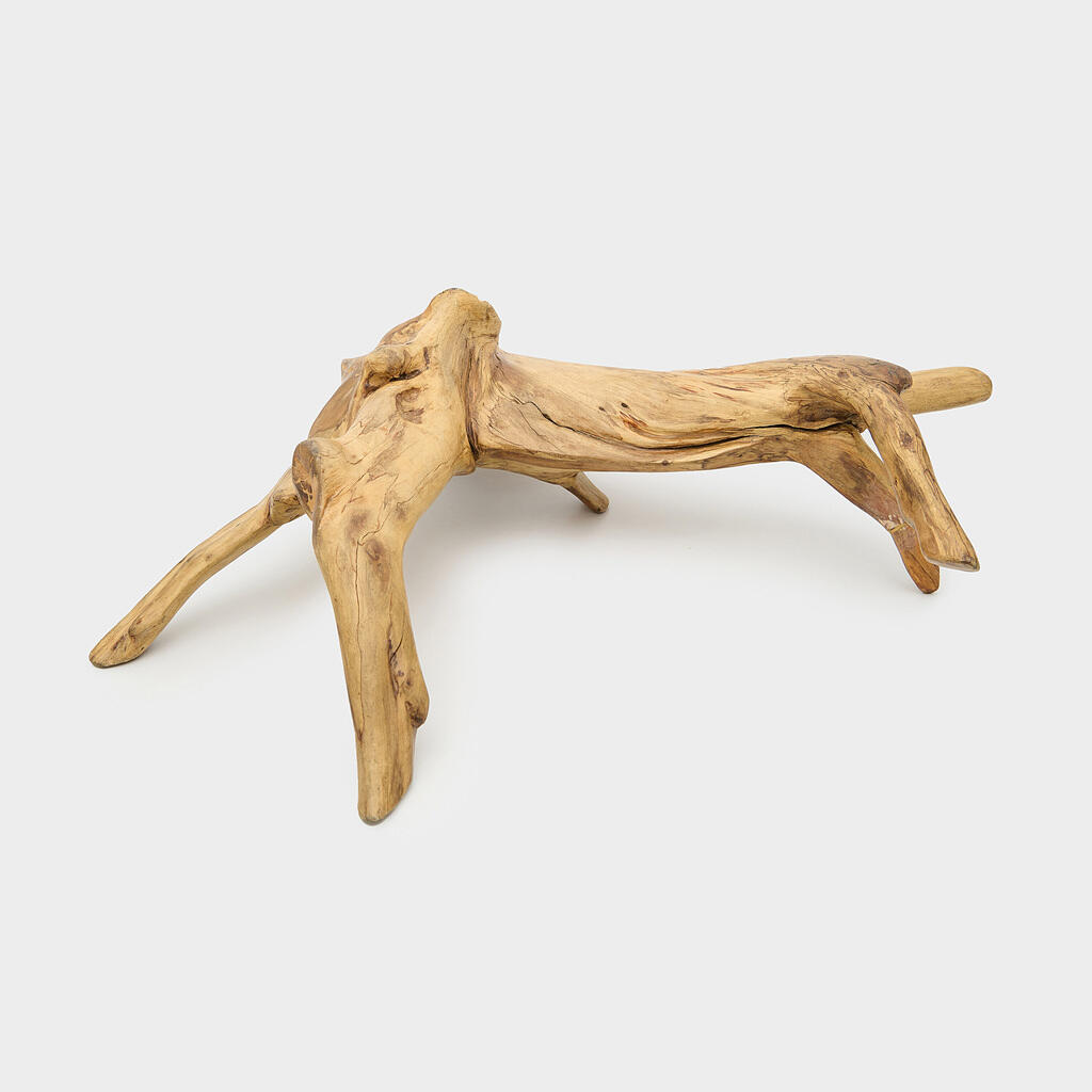 TRONCO MADEIRA CLARA RAIZ