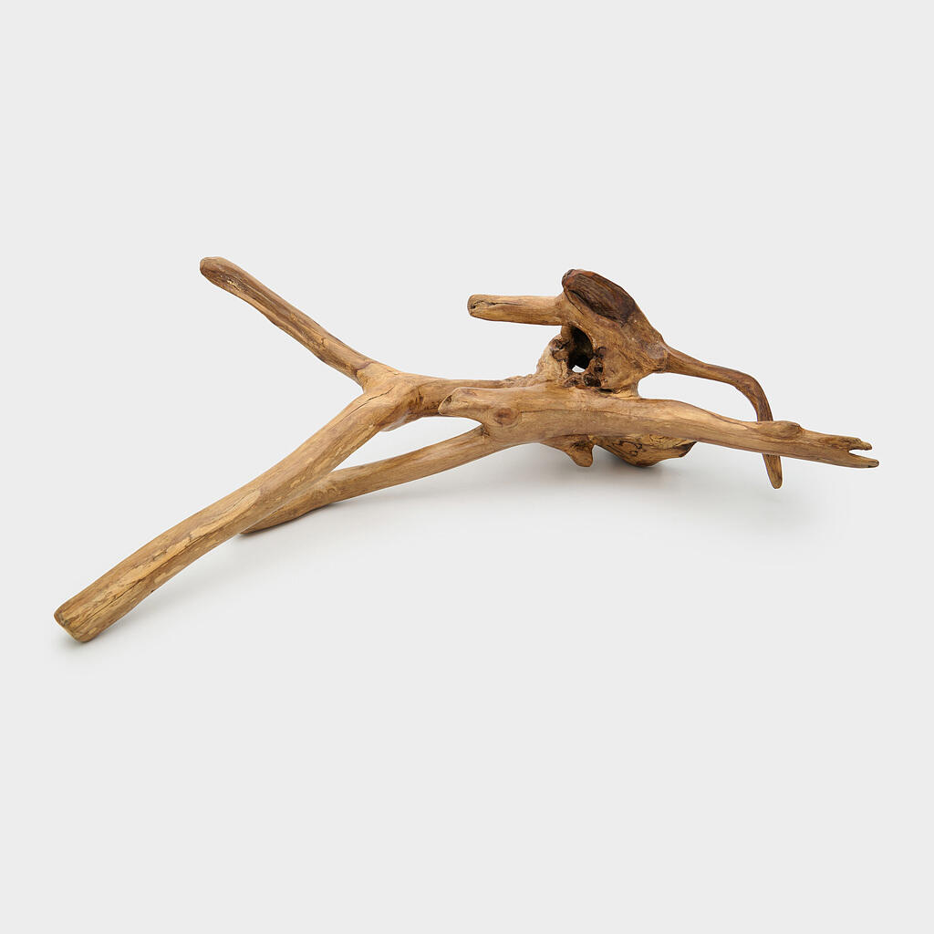 TRONCO MADEIRA CLARO RAIZ BASE OCA