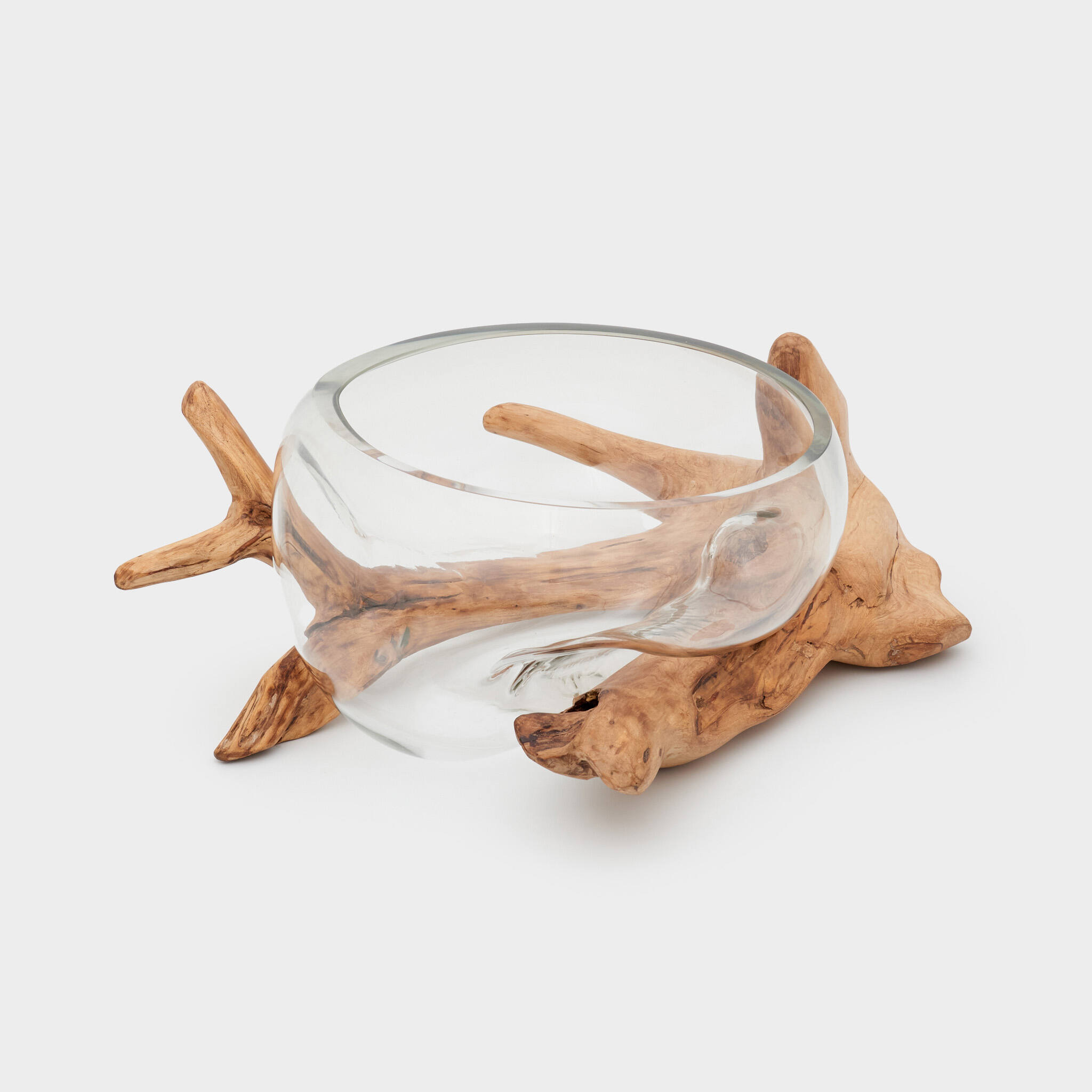 TRONCO RAIZ MADEIRA 3 BRAÇOS BOI (SAL70)