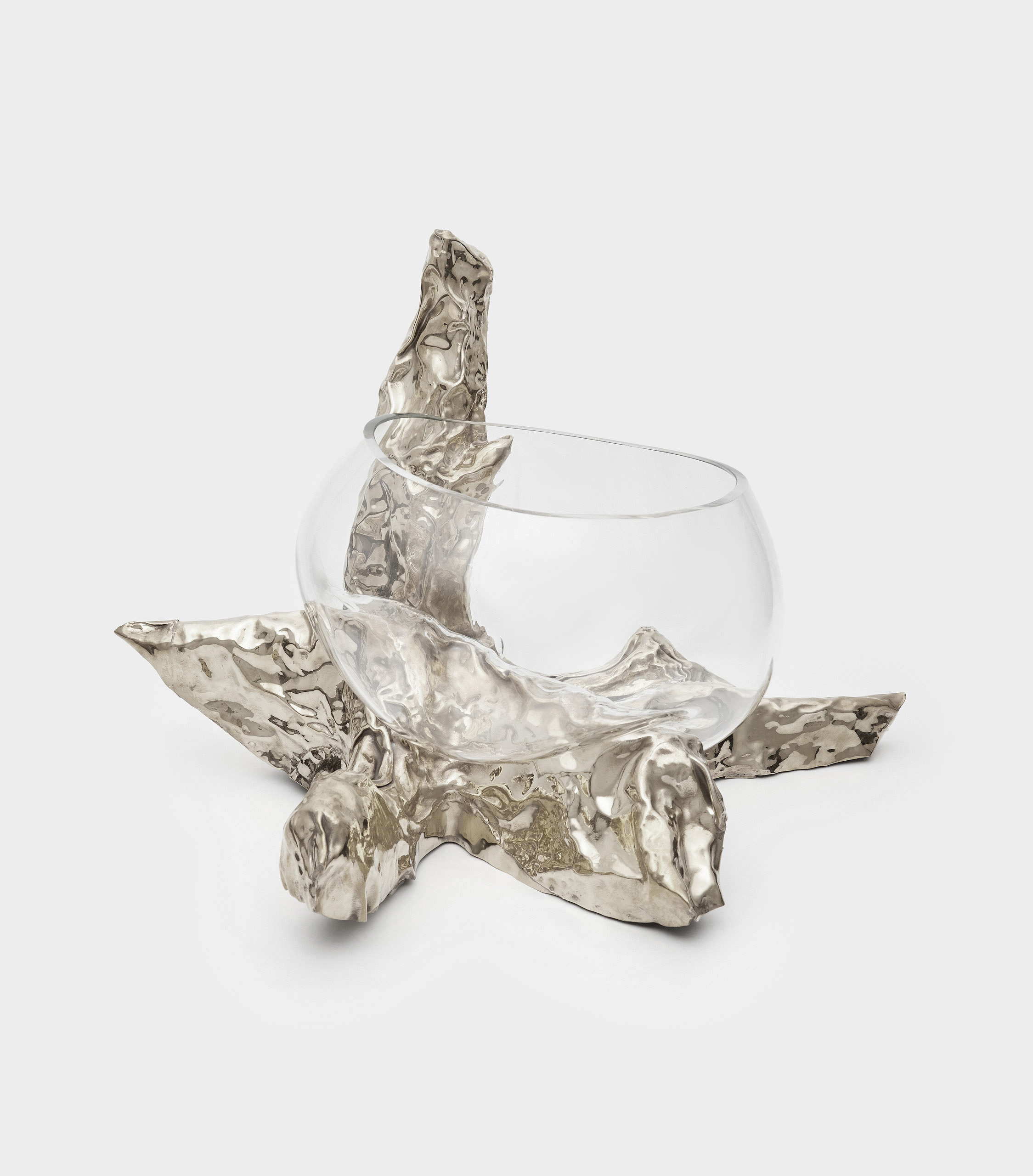 SUPORTE PRATA TRONCO RAIZ ÁRVORE