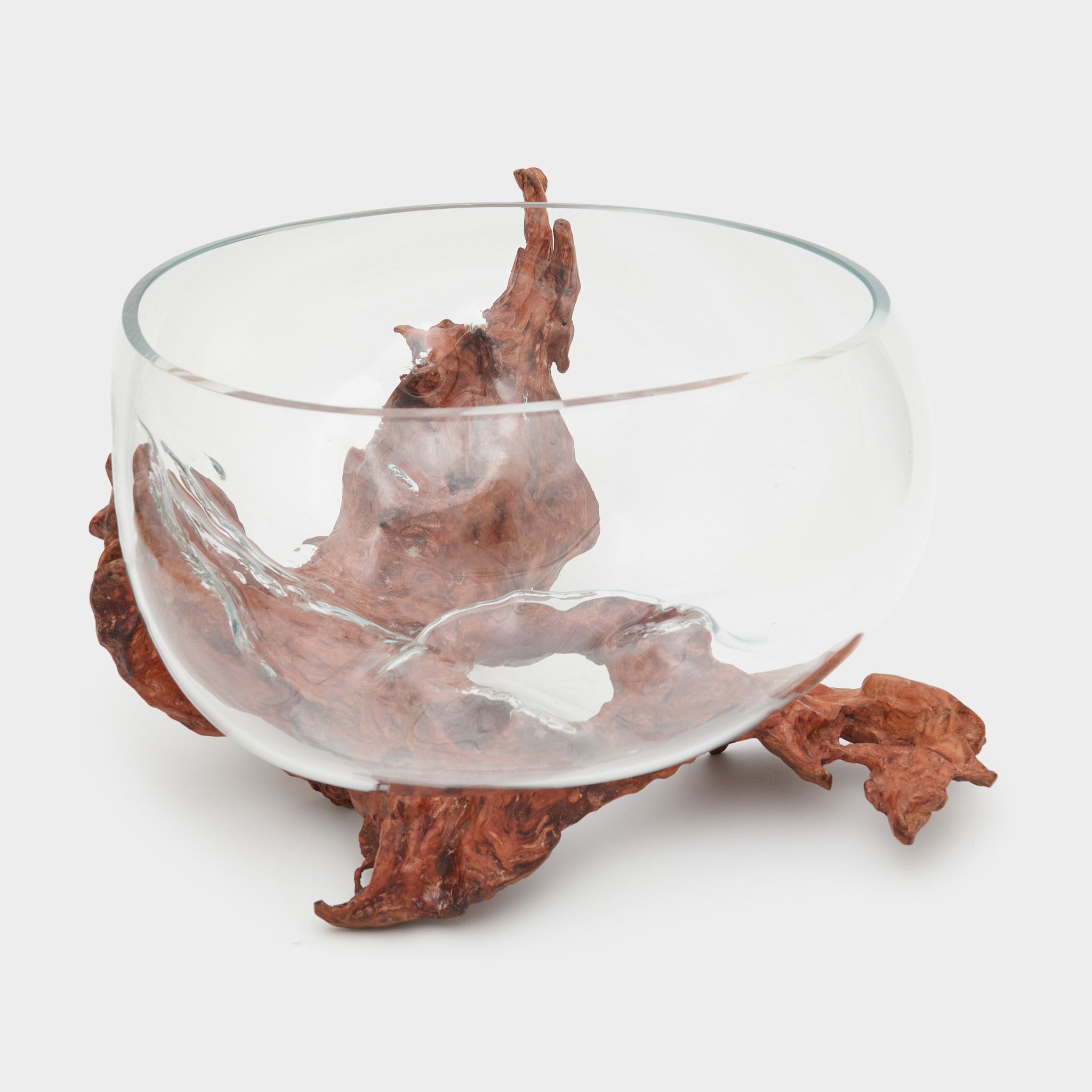 TRONCO RAIZ MADEIRA FUROS